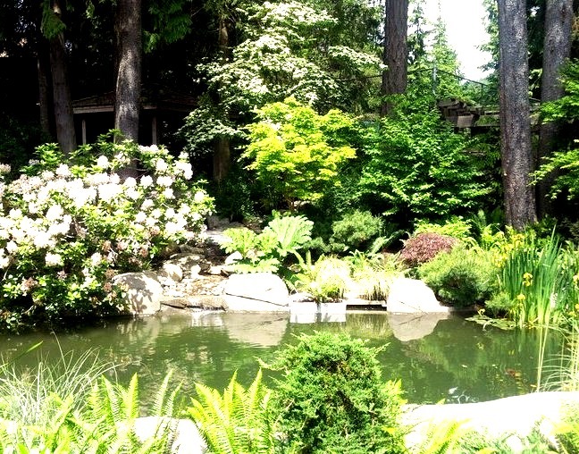 Landscape Pond (Vancouver)