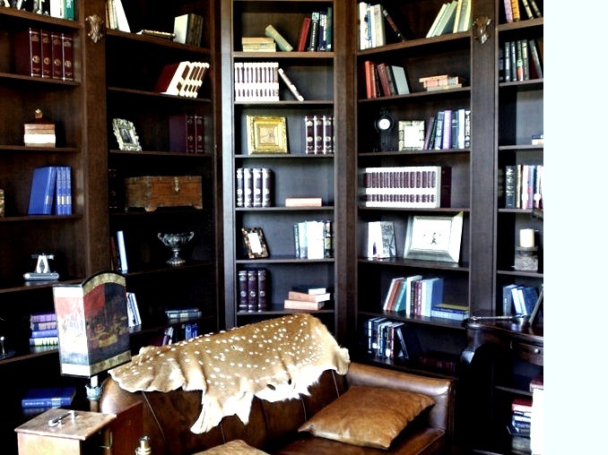 Austin Home Office Library