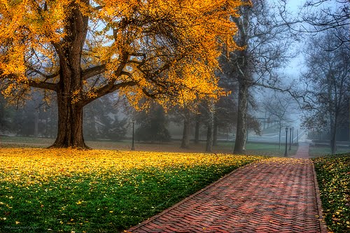 Autumn, Charlottesville, Virginia