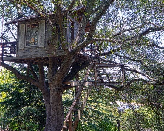 Treehouse (San Francisco)